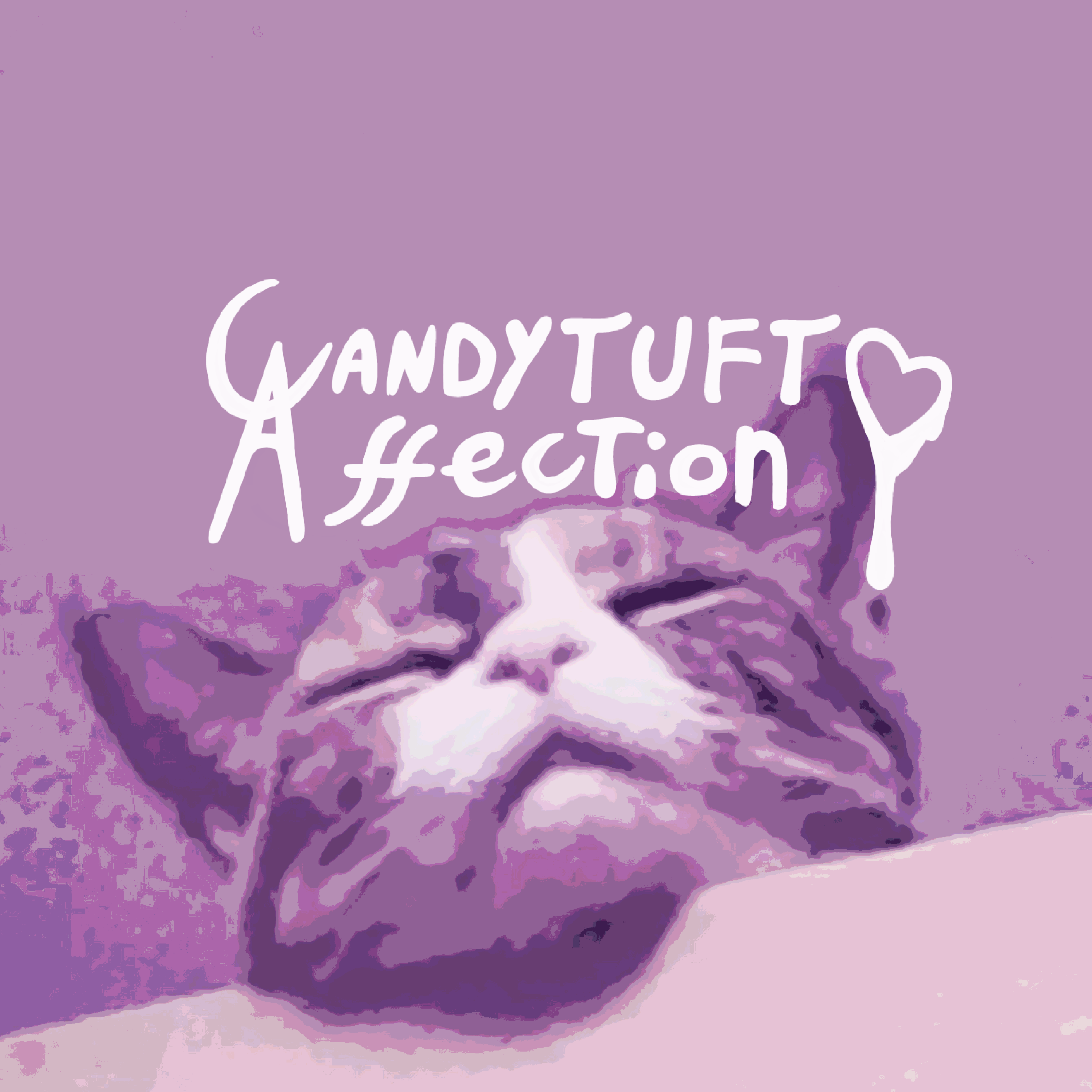 monochrome purple picture of a sleeping cat, with the candytuft affection logo overlaid on top.